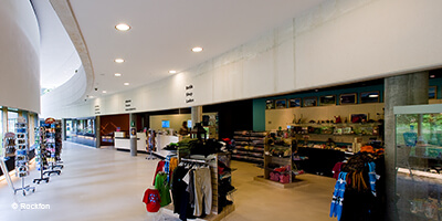 Rockfon Akustikdecke